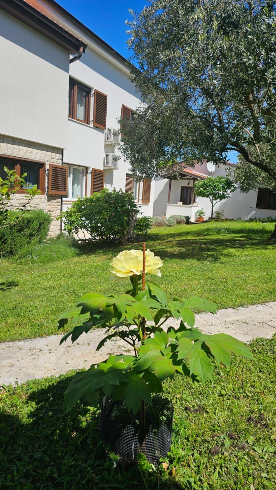 Apartments Dina Pula Exterior photo